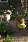 santana the frisbee dog.jpg