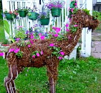 bambi topiary.jpg