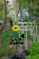 weather vane and Deer.jpg