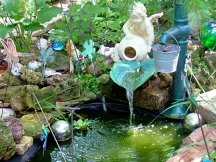 pond getting green.jpg