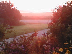 This pic was taken from my front porch, across the driveway and looking out over the fields.