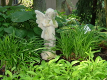 angel in the garden.jpg