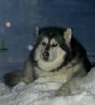 Kayla 2004 Loving the snow
