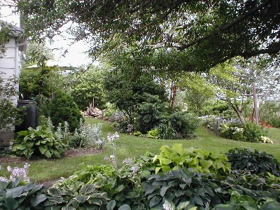 This is a view of some of the beds in my back yard.