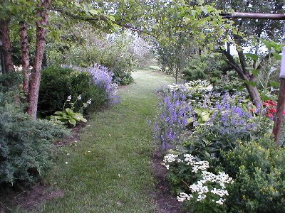 Here's one of the grass paths you can see in the previous pic.