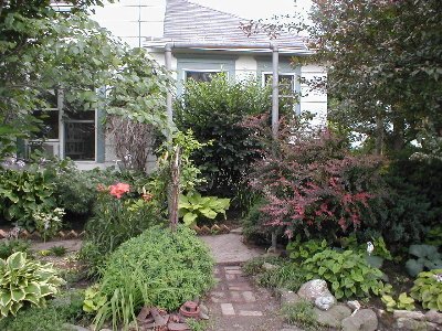 Here's the little brick path my grandsons helped me make 4 or 5 years ago.  It's filled in nicely.