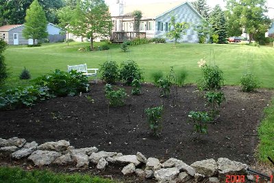 VegGardenJuly2008.jpg