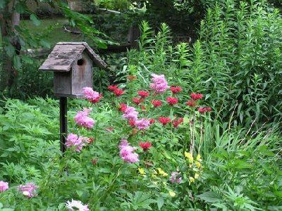 Little bird house on the prairie [640x480].JPG