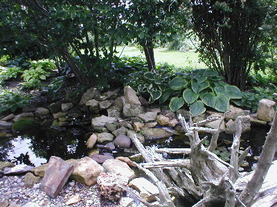 Pond ZDoDahUnchndMldy June 08.JPG