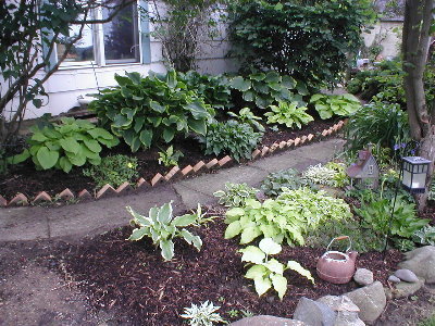 Now we're continuing past the front porch.  The bed in the foreground was expanded last year so that's why you can still see mulch.   :-)  The one nearest the house has been there for years, and is anchored by a huge Abba Dabba Do on one end, and Leading Lady on the other.