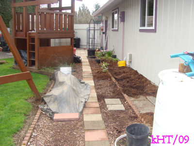 Removed Hostas/new home for toad lilies