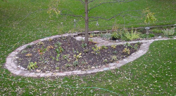 Aerial-View-of-Walnut-Bed_c.jpg