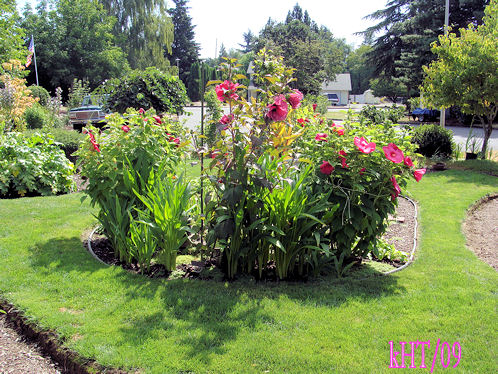 west end of the memorial bed