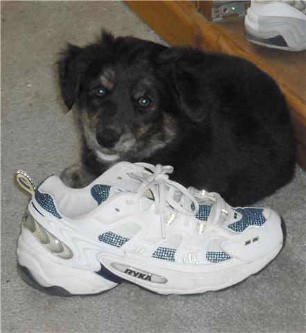 baby jillie to scale w shoe.jpg