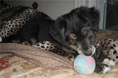 baby loves her ball.jpg