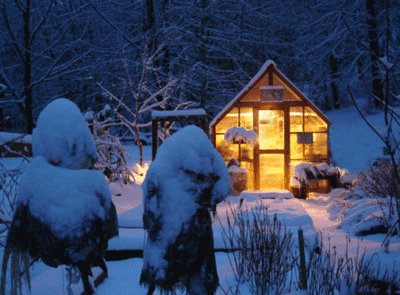 Little cedar greenhouse in winter with growlight warming the seedlings