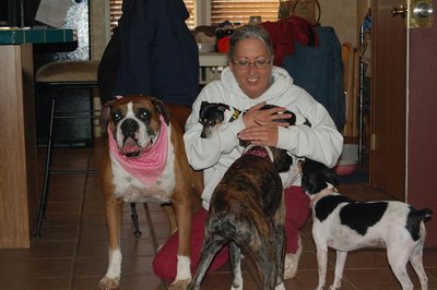 myself, Walker and Maggie the Boxers and Little Man and Prissy Lee the Rat Terriers