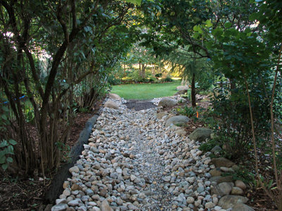 down the dry stream bed to the bog pond