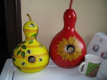 birdhouse gourds.jpg