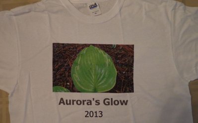 Aurora's Glow tee shirt