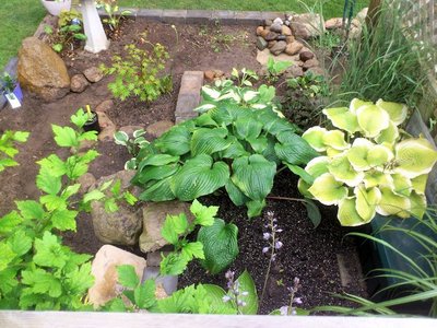 Looking down from the deck!