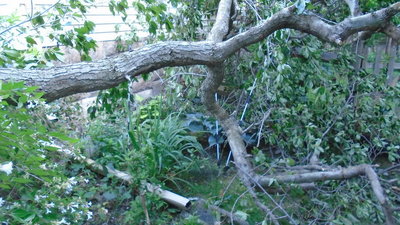 storm damage - June 30, 2015