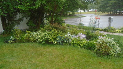 Front lawn garden - July 5, 2016