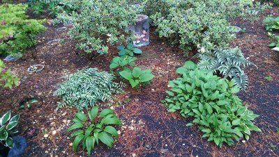 Mickey &amp; Minnie Birdbath - May 22, 2017