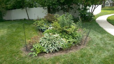 Front lawn garden - June 1, 2017