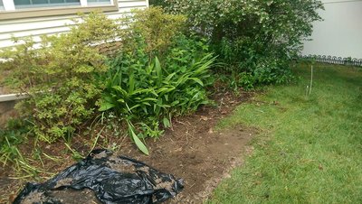 new garden space - June 27, 2017