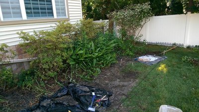 new garden space - June 28, 2017