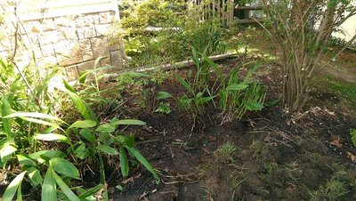 new garden space - June 29, 2017