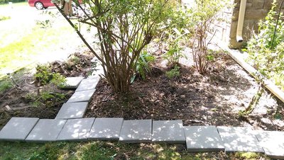 new garden space - June 29, 2017