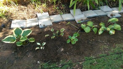 new garden space - June 30, 207