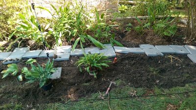 new garden space - June 30, 207