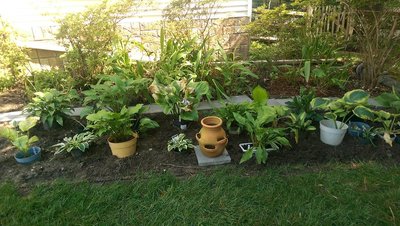 New Garden - July 13, 2017