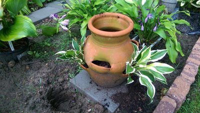 New Garden with Scooter in the pot - August 8, 2017