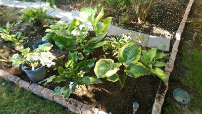 New Garden right side - August 9, 2017