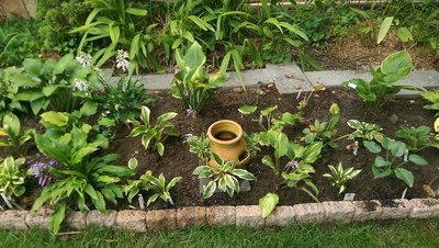 center &quot;New Front Garden&quot; - August 15, 2017