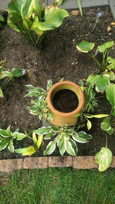 Pot in the New garden with Anne Arett - August 18, 2017
