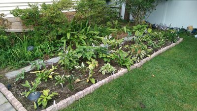 New Garden - August 21, 2017