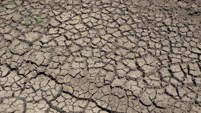 Drying mud at a watering hole in South Africa