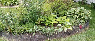 Front Lawn Garden - June 10, 2018